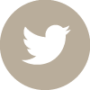 Twitter icon